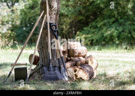 Outils de jardinage et bûches d'arbres hachés en fond de forêt naturelle. Prairie de lumière du soleil et concept de jardinage d'automne. Travail d'automne dans le jardin. Banque D'Images