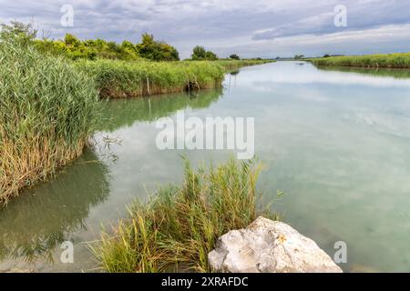 Réserve naturelle régionale de l'embouchure de la rivière Isonzo , Friuli Venezia Giulia, Italie Banque D'Images