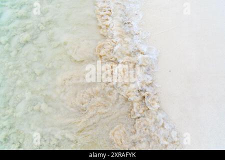 Vague mousseuse s'écrasant sur une plage de sable blanc immaculé. L'image capture la texture délicate du sable et le mouvement fascinant de l'eau. Banque D'Images