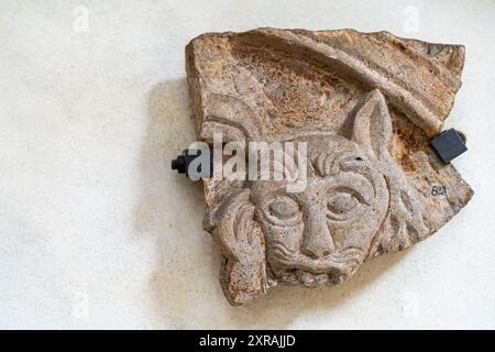 Gros plan sur le visage décoratif de l'animal sculpté dans le marbre Banque D'Images