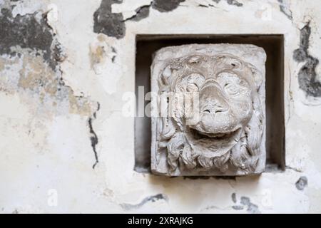 Gros plan sur le visage d'animal souriant sculpté dans le marbre Banque D'Images