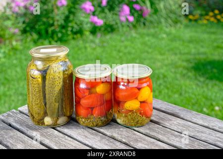 Nourriture fermentée maison saine. Tomates marinées salées et concombres, conservés en conserve dans des bocaux en verre. Conservation des récoltes Banque D'Images