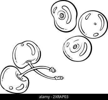 Dessin au trait de la vue de dessus des cerises Illustration de Vecteur