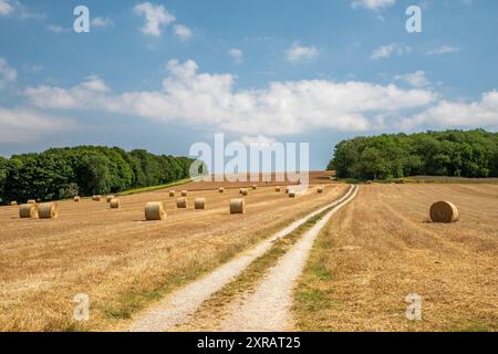 Champs de balles de foin et route de piste menant à la distance avec le ciel bleu sur une journée ensoleillée claire. Banque D'Images