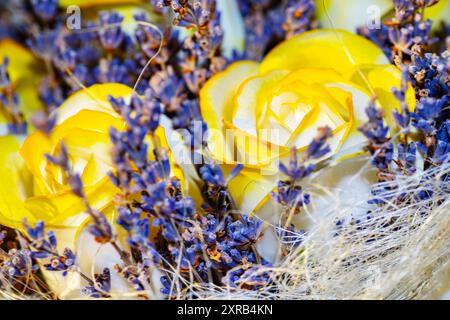 Bouquet de fleurs jaunes et bleues avec une rose au milieu. Les fleurs sont disposées de manière à se compléter et à créer un harmoniou Banque D'Images