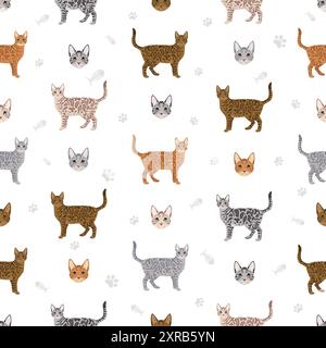 Motif sans couture Cheetoh Cat. Toutes les couleurs de manteau sont définies. Infographie des caractéristiques de toutes les races de chats. Illustration vectorielle Illustration de Vecteur