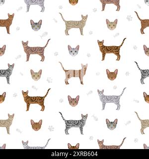 Classicat, modèle sans couture Jungala Cat. Toutes les couleurs de manteau sont définies. Infographie des caractéristiques de toutes les races de chats. Illustration vectorielle Illustration de Vecteur