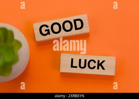 Blocs de bois orthographiant 'bonne chance' sur un fond orange vif. Un message de positivité et de bonnes vibrations. Banque D'Images