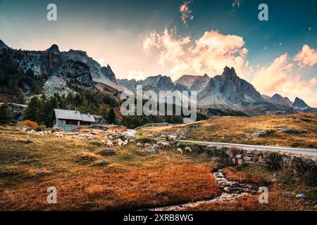 Paysage des Alpes françaises de la vallée de Claree avec massif des Cerces et troupeau de moutons paissant sur pâturage en automne dans les Hautes Alpes, France Banque D'Images