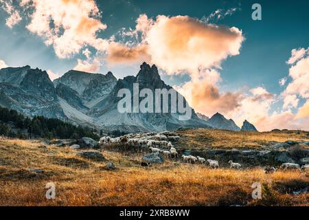 Paysage des Alpes françaises de la vallée de Claree avec massif des Cerces et troupeau de moutons paissant sur pâturage en automne dans les Hautes Alpes, France Banque D'Images