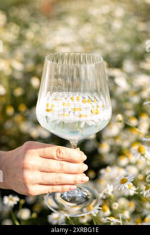 Divination sur pétales de Marguerite. Un verre avec une boisson à la camomille. Thé à la camomille. Photo de haute qualité Banque D'Images