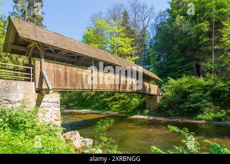 Wutach, Wutachschlucht (gorge de Wutach), rivière Wutach, pont Kanadiersteg à Schwarzwald (Forêt Noire), Bade-Württemberg, Allemagne Banque D'Images