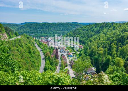 Oberndorf am Neckar, vue sur Oberndorf am Neckar à Schwarzwald (Forêt Noire), Bade-Württemberg, Allemagne Banque D'Images