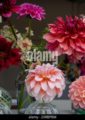 Gros plan de fleurs coupées colorées d'un jardin de coupe britannique dans des vases à boutons, y compris des dahlias de fin d'été et des phlox annuels Banque D'Images