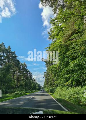 Vue de la voiture sur la route avec marquage de voie dans une zone boisée sur le sujet de l'excès de vitesse et de la vitesse, Mecklenburg-Poméranie occidentale, mer Baltique, Allemagne Banque D'Images