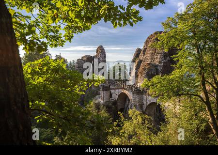 Photographie de paysage le matin dans un paysage rocheux sur et autour du pont Bastei dans les montagnes de grès de l'Elbe près de Dresde, Saxe, Allemagne Banque D'Images