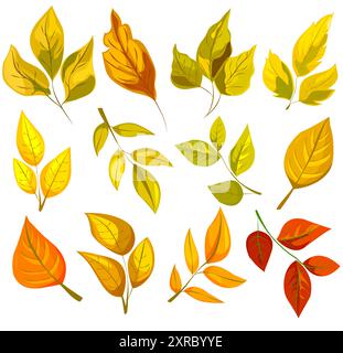 Feuilles d'automne colorées de différentes formes. Style illustré sur un fond blanc. Concept de la saison d'automne et de la beauté des natures. Illustration vectorielle Illustration de Vecteur