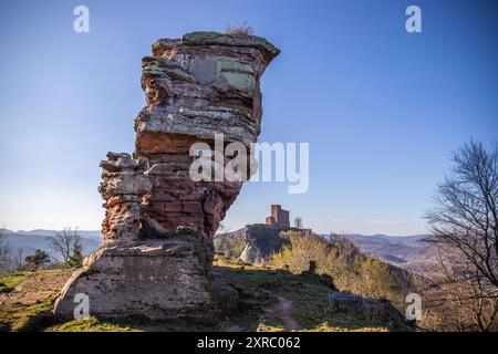 Vue du château de Trifels depuis le rocher 'Angels Landing' avec la jeune tour en automne au coucher du soleil, beau paysage dans la forêt du Palatinat, Rhénanie-Palatinat, Allemagne Banque D'Images