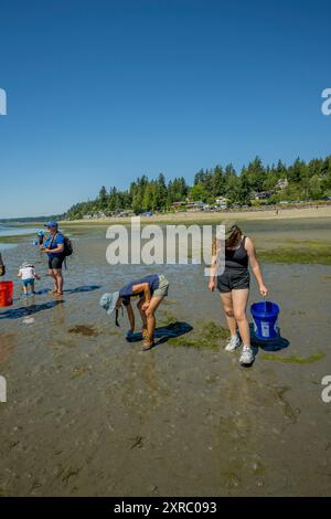 Des bénévoles de la Surfrider Foundation, une organisation qui protège notre océan, nos vagues et nos plages pour tous, lors d’un nettoyage de plage à Purdy Sand SP Banque D'Images