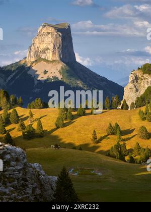 Mont aiguille en automne avant le coucher du soleil dans les hauts plateaux du Vercors. Parc naturel régional du Vercors, Isère, Rhône-Alpes, Alpes, France Banque D'Images