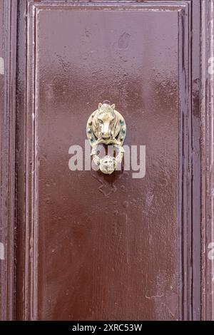 Albaicin, Grenade, Province de Grenade, Andalousie, Espagne. Un frappeur de porte en laiton en forme de tête de cheval. Banque D'Images