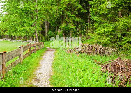 Sentier de randonnée à la lisière de la forêt dans la vallée de Leutasch, Tyrol, Autriche Banque D'Images