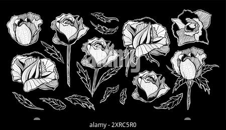 Collection de fleurs de rose stylisées fantaisie noir et blanc, ensemble de conception de tatouage, impressions d'art méditatives encreuses, Pack d'éléments décoratifs vectoriels Illustration de Vecteur