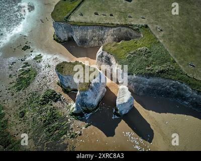 Botany Bay est une baie de Broadstairs face à la mer du Nord, Kent, Angleterre. Banque D'Images