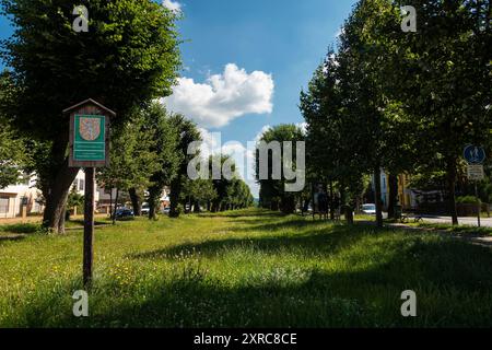 La Linden Alley à Jicin est la plus ancienne avenue de tilleul de République tchèque. Il a près de 2 kilomètres et se dirige de la ville au Wallenstein Lo Banque D'Images