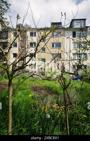 Petit jardin communautaire dans un quartier résidentiel dans le centre de Cologne Banque D'Images