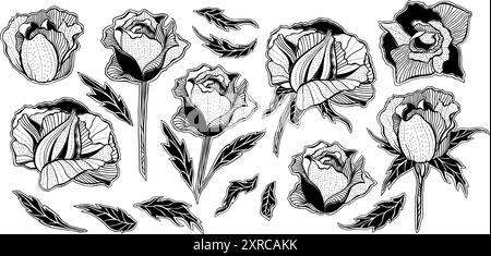 Collection de fleurs de rose stylisées fantaisie noir et blanc, ensemble de conception de tatouage, impressions d'art méditatives encreuses, Pack d'éléments décoratifs vectoriels Illustration de Vecteur