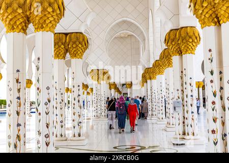 Colonnes décorées, Mosquée Cheikh Zayed, Abu Dhabi, Émirats arabes Unis, Asie Banque D'Images