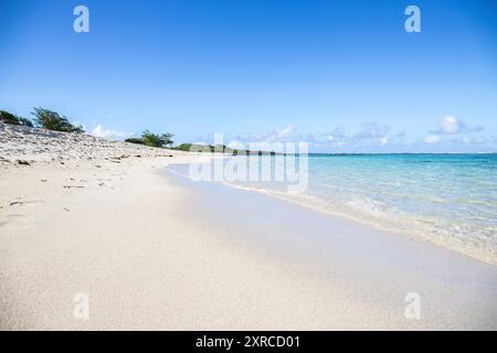 De petites vagues arrivent à la plage de sable d'une île de l'océan Indien, plage de sable onirique le matin, lever de soleil sur la plage de trou d'eau douce, Maurice Banque D'Images