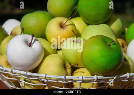 Au premier plan, une pomme blanche en plastique artificiel se trouve lâche dans un panier métallique à la lumière du soleil entre les pommes vertes et vert clair Banque D'Images