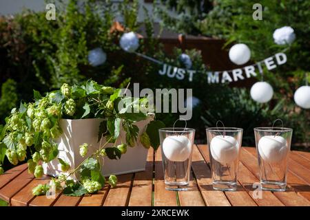 Pommes blanches dans un verre à côté d'un pot avec des vrilles de houblon de bière sur une table en bois brun au soleil dans le jardin, la préparation et la décoration pour une célébration de mariage, floue dans le fond accroche une bannière avec les mots juste mariés Banque D'Images