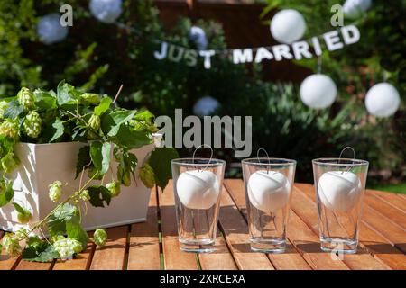 Pommes blanches dans un verre à côté d'un pot avec des vrilles de houblon de bière sur une table en bois brun au soleil dans le jardin, la préparation et la décoration pour une célébration de mariage, floue dans le fond accroche une bannière avec les mots juste mariés Banque D'Images