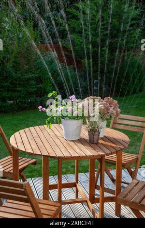 Fleurs en fleurs dans des pots blancs sur une table en bois, terrasse dans le jardin verdoyant, en arrière-plan un arroseur arrose la pelouse et les conifères verts, les jets d'eau brillent dans le contre-jour du soleil du soir Banque D'Images