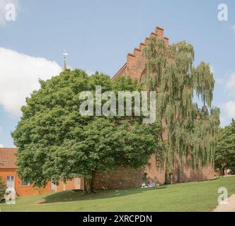 Partez l'église de Canute et son jardin à Odense, Danemark, le 3 août 2024 Banque D'Images