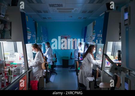 Turin, Italie - 19 octobre 2021 : de jeunes chercheurs travaillent dans un laboratoire de cancérologie dédié à la recherche scientifique Banque D'Images