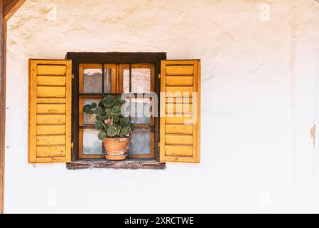Vieille fenêtre avec cadres en bois, volets et fleurs. Fragment de la façade d'un ancien bâtiment. Banque D'Images