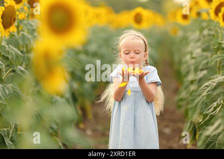 Mignonne petite fille soufflant sur les pétales de tournesol dans le champ Banque D'Images