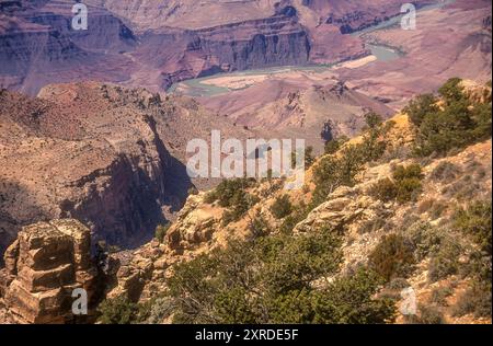Vue sur le fleuve Colorado au fond du Grand Canyon depuis le Desert View Watchtower surplombant le plateau sud du Canyon. (ÉTATS-UNIS) Banque D'Images