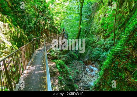 Rastenbach ou Gola del Rio Pausa gorge au lac Caldaro Kalterer See, Tyrol du Sud Banque D'Images