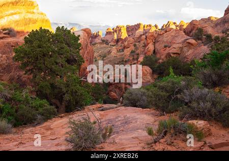 Les falaises flânent sur le Devils Garden Trail dans le parc national d'Arches, Utah Banque D'Images