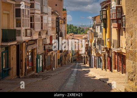 La rue Balborraz à Zamora, en Espagne, est une ruelle pittoresque en pente bordée de maisons médiévales colorées. Son étroit chemin pavé invite les explorati Banque D'Images