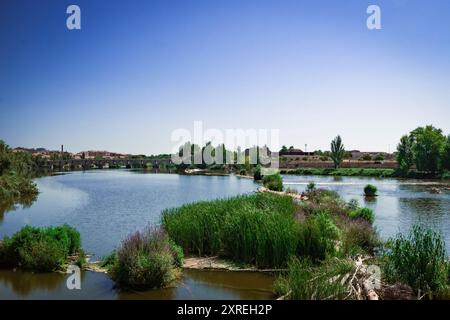 La rivière Duero coule doucement à travers Zamora, Espagne, offrant un paysage serein avec des reflets de ponts historiques et de verdure luxuriante sous un b clair Banque D'Images