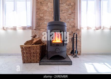 Cheminée à l'intérieur de la maison salon contemporain. Salon confortable avec poêle à bois avec flamme brûlante derrière une porte vitrée Banque D'Images