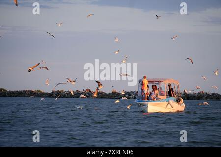 Touristes sur un bateau entouré de mouettes sur la mer Noire près de Sulina, Roumanie Banque D'Images