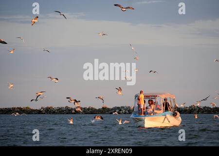 Touristes sur un bateau entouré de mouettes sur la mer Noire près de Sulina, Roumanie Banque D'Images