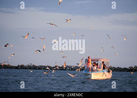 Touristes sur un bateau entouré de mouettes sur la mer Noire près de Sulina, Roumanie Banque D'Images